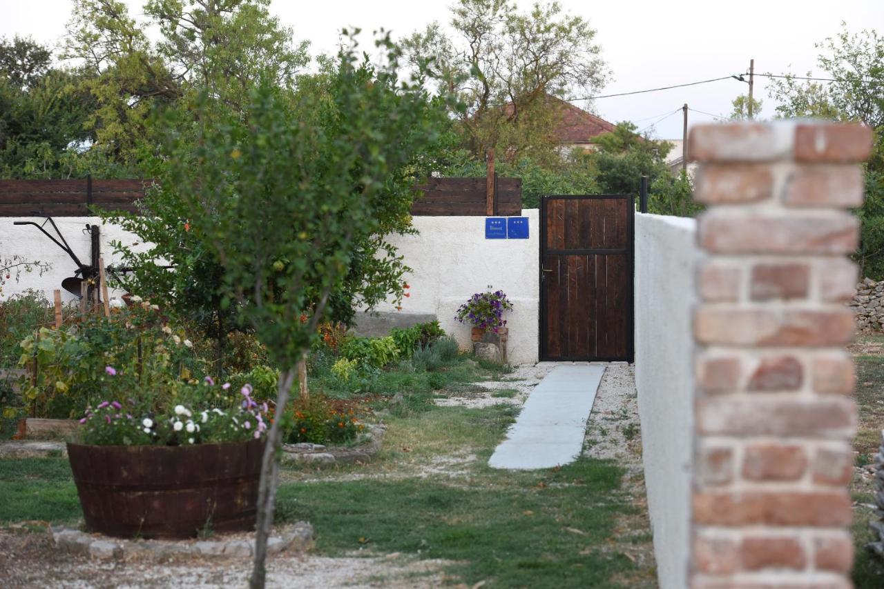House & Apartment Palaca Donji Zemunik Εξωτερικό φωτογραφία